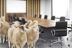 HR needs to “stop bleating” about being on the Board, says Fosway CEO HR needs to “stop bleating” about being on the Board, says Fosway CEO