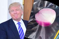 Political Punch-up: Donald Trump vs 'half an onion in a bag'