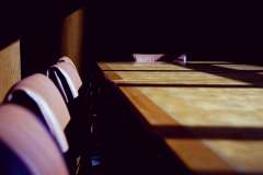 Which top-level CEOs are advising Trump?